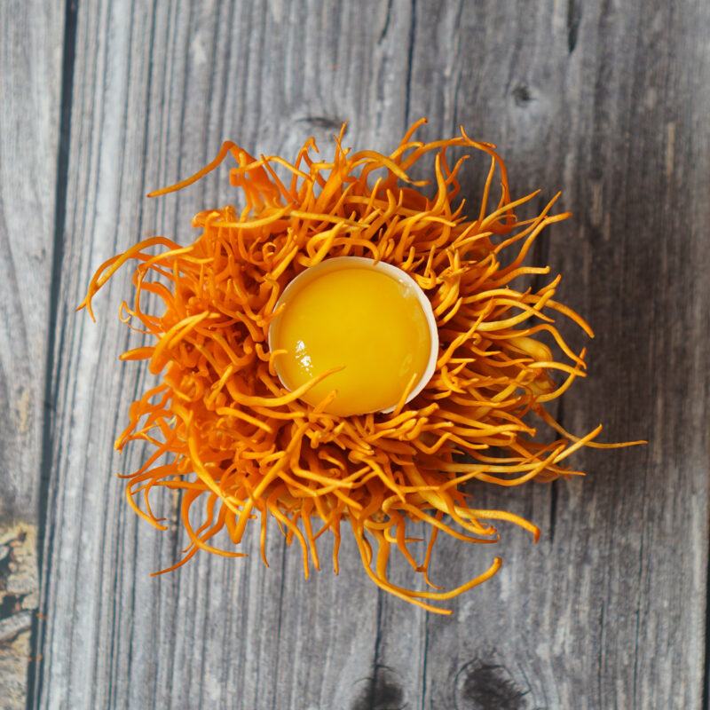 동충하초먹고 낳은 계란